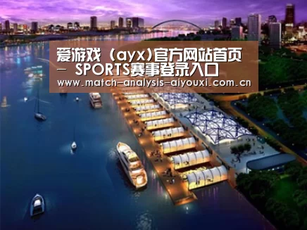 案例展示八